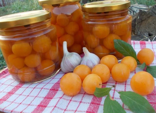 pickling cherry plum