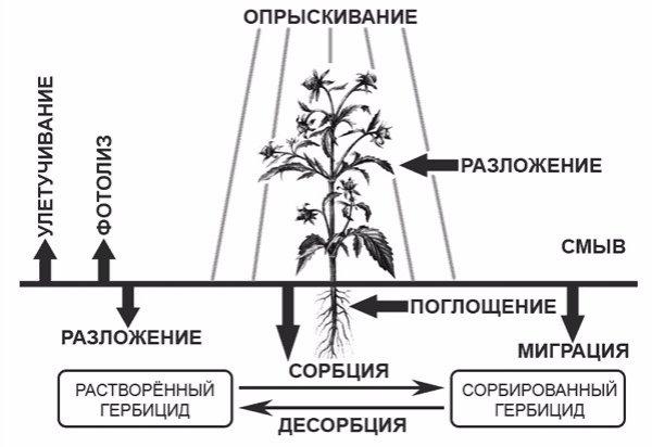 изчисляване на хербициди