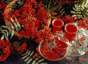 TOP 16 simple recipes for red rowan jam for the winter at home