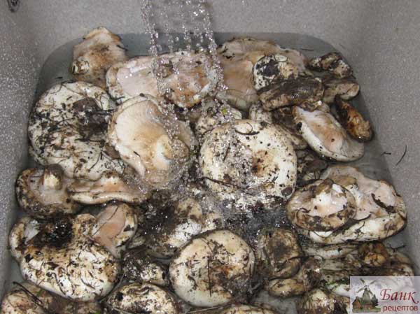 soaking mushrooms