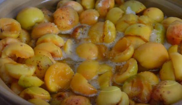 abricots pour confiture