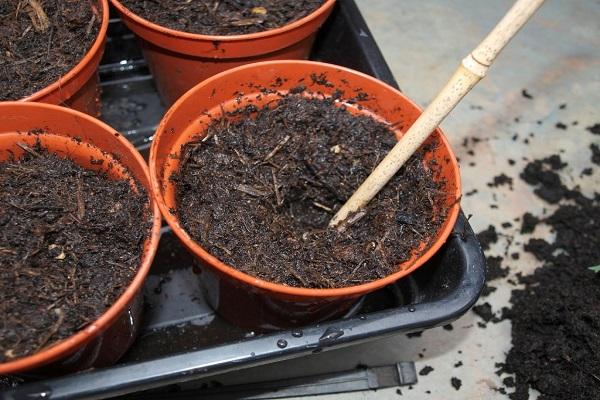 pots with soil