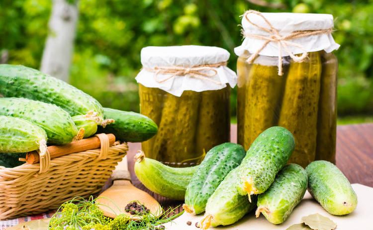 cucumbers in jars