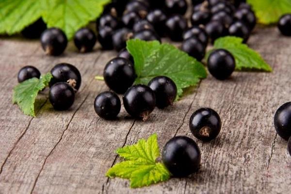 currants on the table