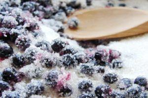 9 resipi terbaik untuk membuat blueberry dengan gula untuk musim sejuk tanpa memasak