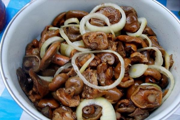 champignons aux oignons