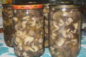 7 meilleures recettes étape par étape pour faire des champignons pour l'hiver