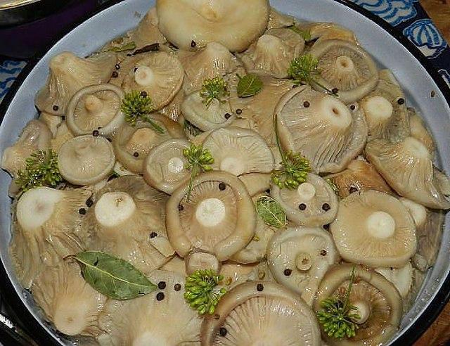 champignons marinés