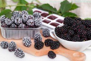 How to properly store fresh blackberries, drying berries and shelf life