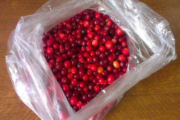 cranberry dalam beg