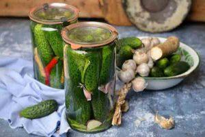 Which varieties of cucumbers are best suited for canning and pickling, names