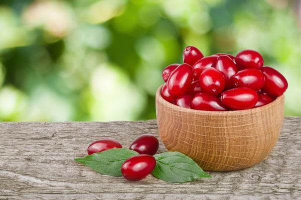 picked berries