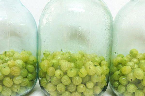 gooseberries in jars