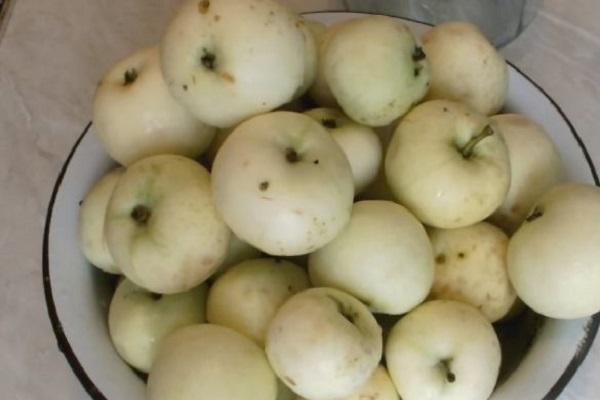 Une délicieuse recette pour faire de la compote de pommes entières pour l'hiver