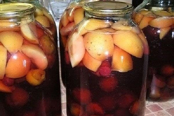 compota de manzana y ciruela