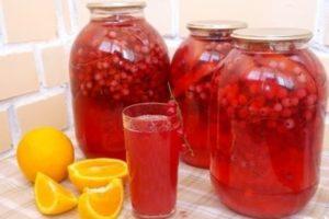 TOP 5 recipes for red currant compote with orange for the winter