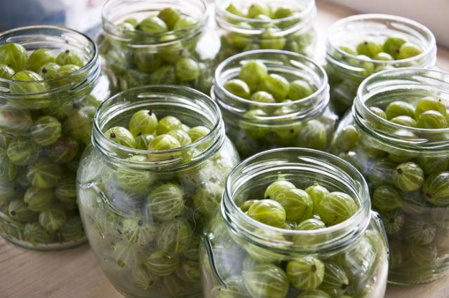 pickling gooseberries