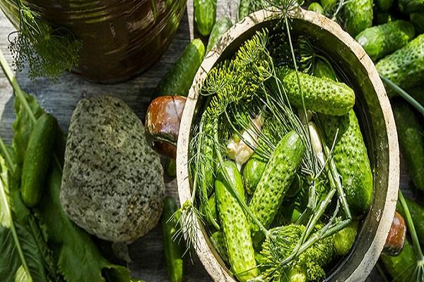 salage dans les plats