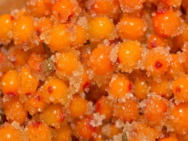 sea ​​buckthorn with sugar