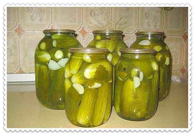 pickling cucumbers