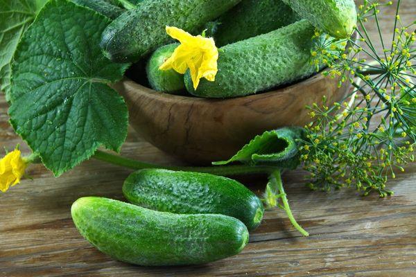 fresh cucumbers