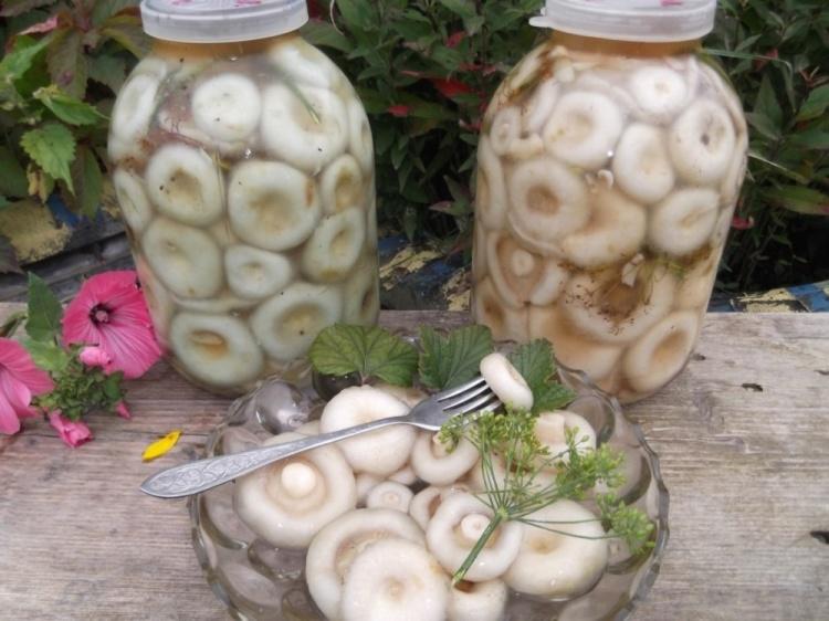 salting mushrooms for the winter