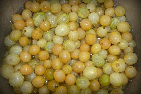 gooseberry preparation