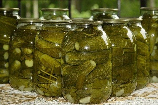 cucumbers in an autoclave