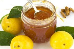 5 best recipes for making cherry plum jam for the winter