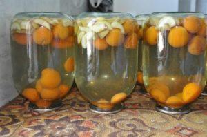 Une recette pas à pas pour faire de la compote de pommes et d'abricots pour l'hiver