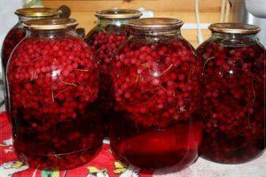 TOP 6 recipes for red currant and raspberry compote for the winter