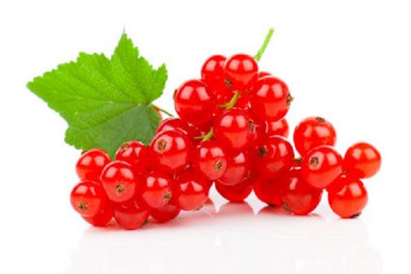 currant berry