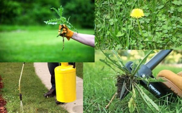 mode d'emploi herbicide