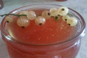 A simple recipe for making white currant jam for the winter Pyatiminutka