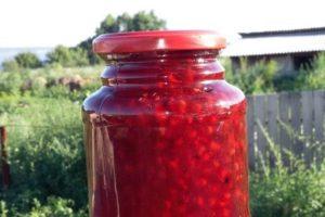 TOP 2 recettes simples pour faire de la confiture de moelle osseuse pour l'hiver