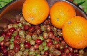 TOP 15 recipes for making gooseberry jam with oranges for the winter