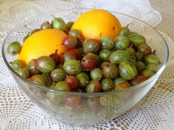 gooseberry vase