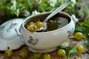 TOP 17 simple and quick gooseberry jam recipes for the winter