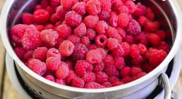 fresh raspberries