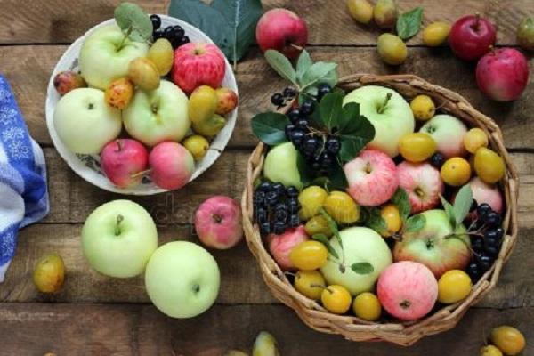 fruits à portée de main