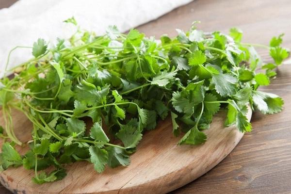 drying herbs