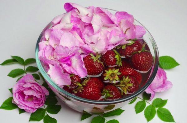 fresas con pétalos de rosa