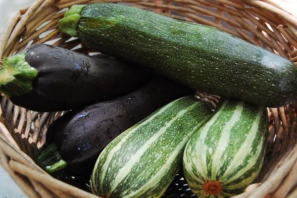 basket of zucchini