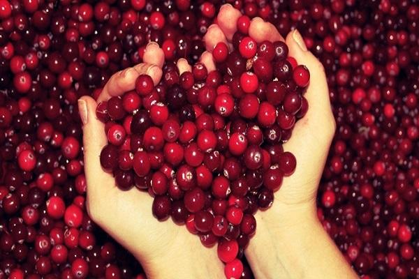 fruits in hands