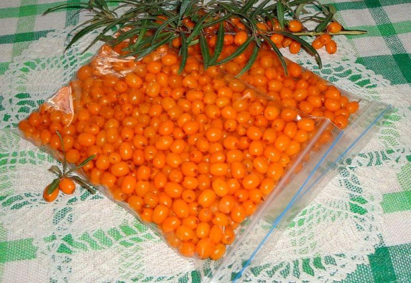 freezing sea buckthorn