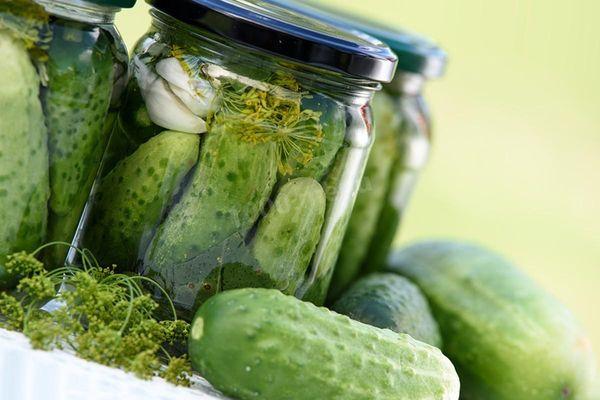 Freshly salted cucumbers