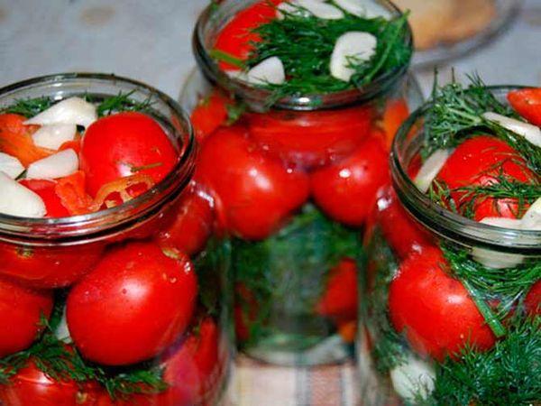 tomates sin esterilizar