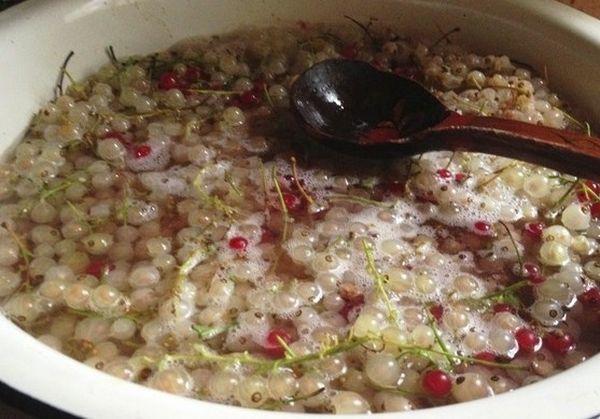 currants and gooseberries