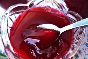 TOP 10 des recettes faciles étape par étape pour faire de la gelée de cerise pour l'hiver