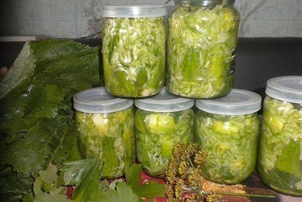 Pepinos en escabeche en su propio jugo con agua fría